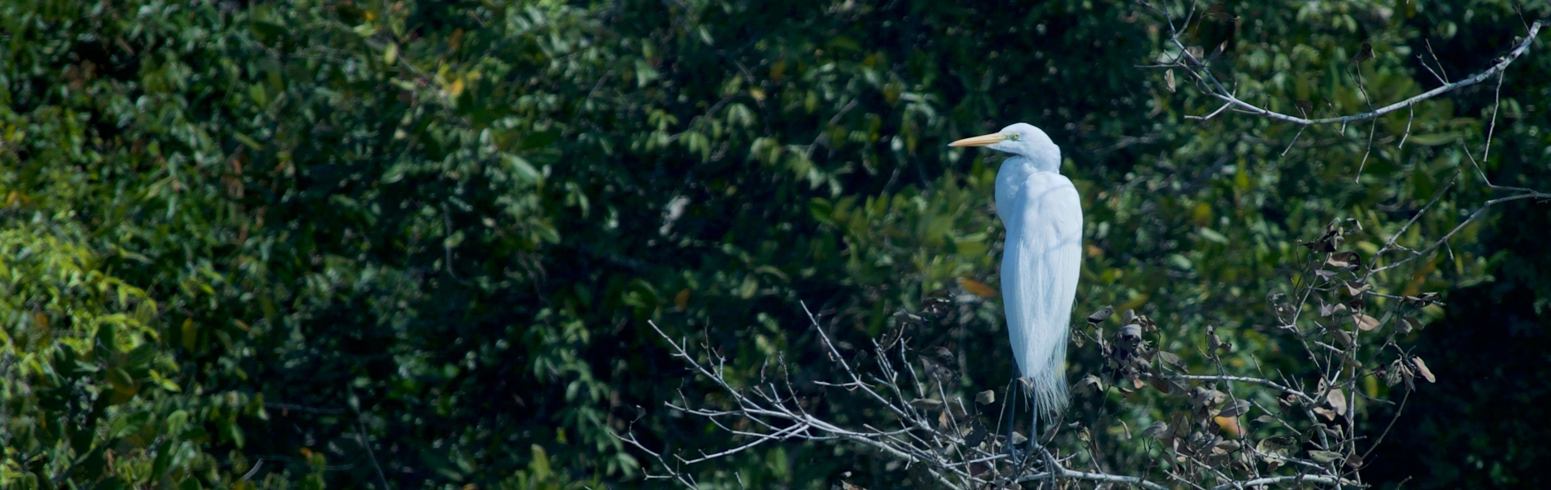 Key visual of Bangladesh