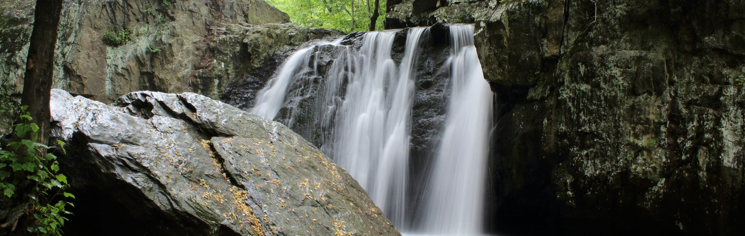 Key visual of Central African Republic