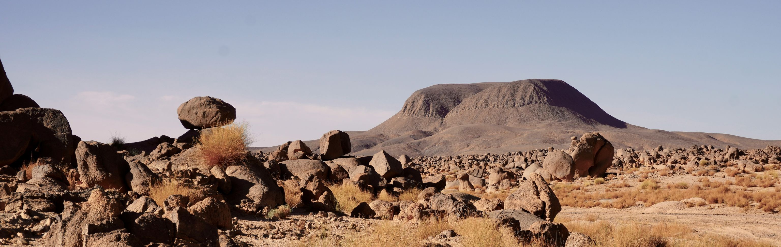 Key visual of Algeria