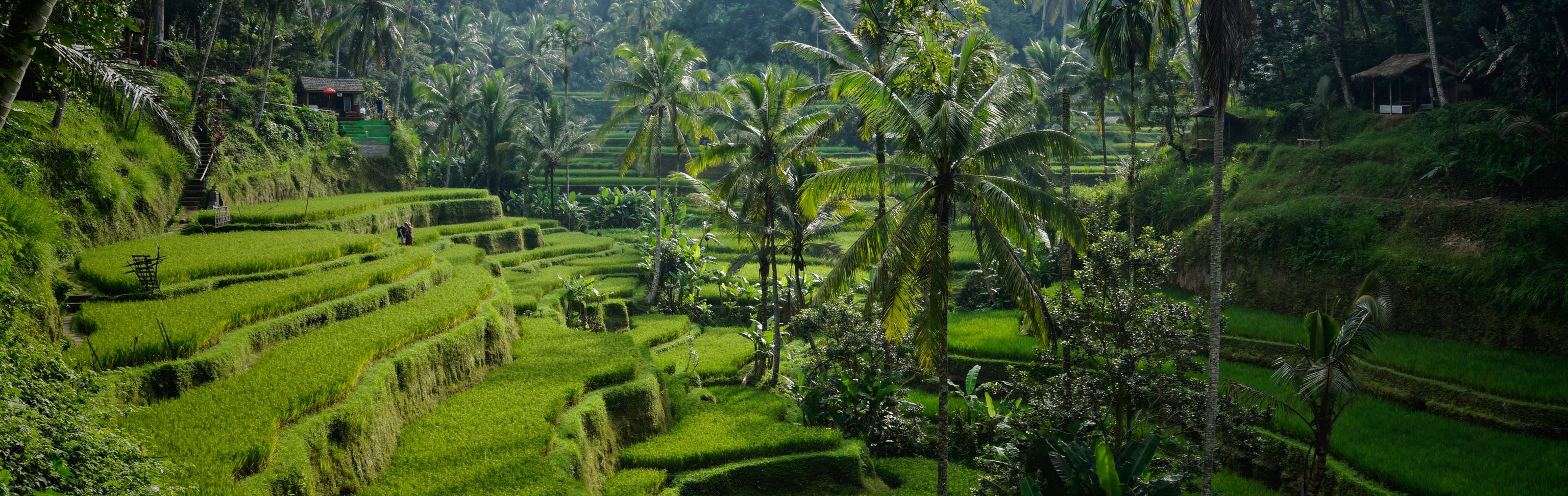 Key visual of Indonesia