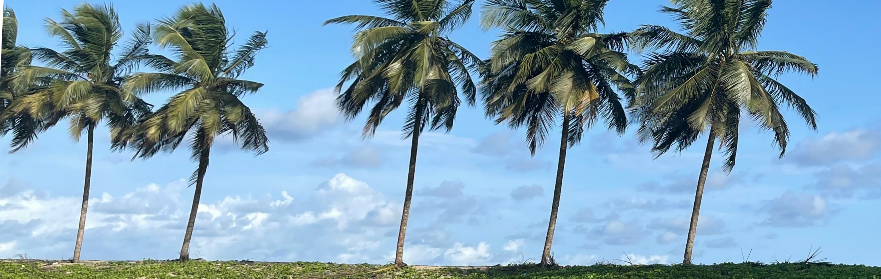 Key visual of Liberia