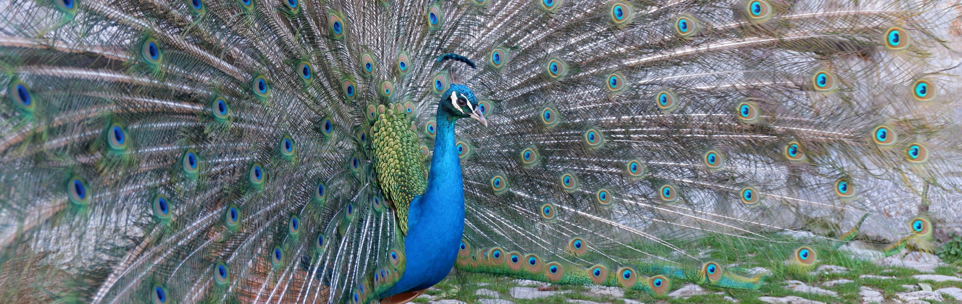 Key visual of Moldova