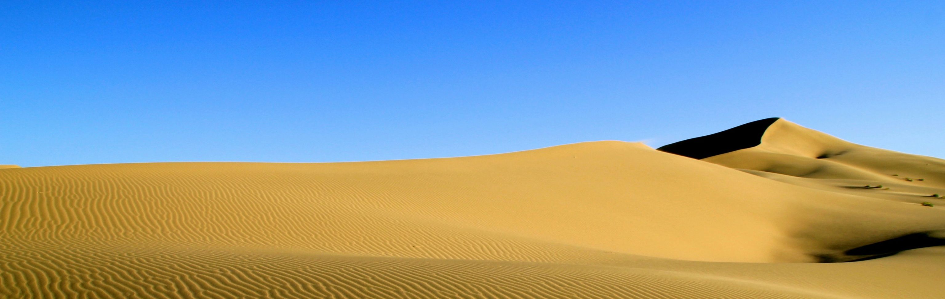 Key visual of Mongolia