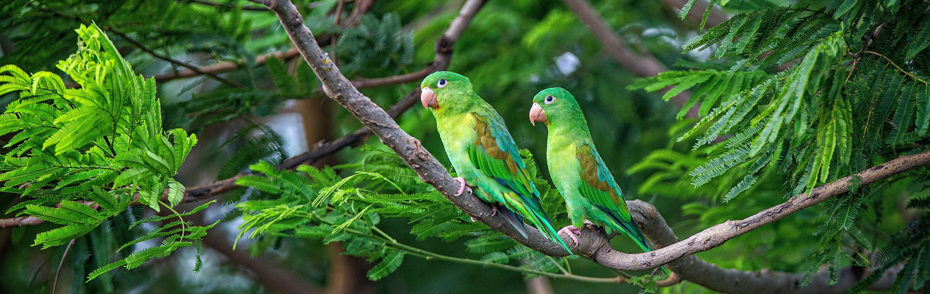 Key visual of Nicaragua