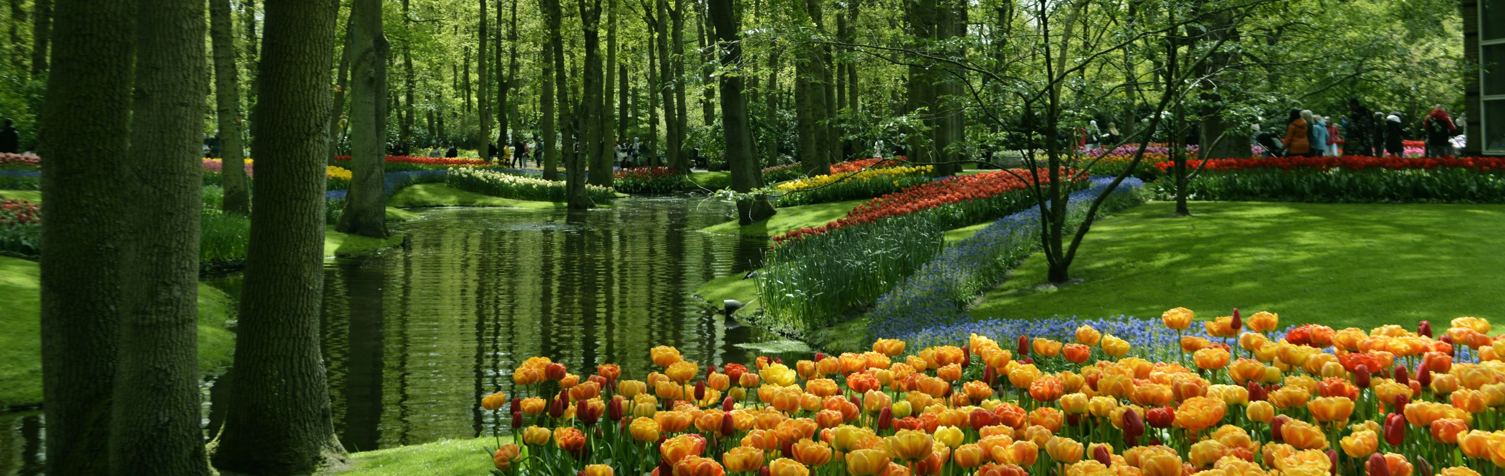 Key visual of Netherlands