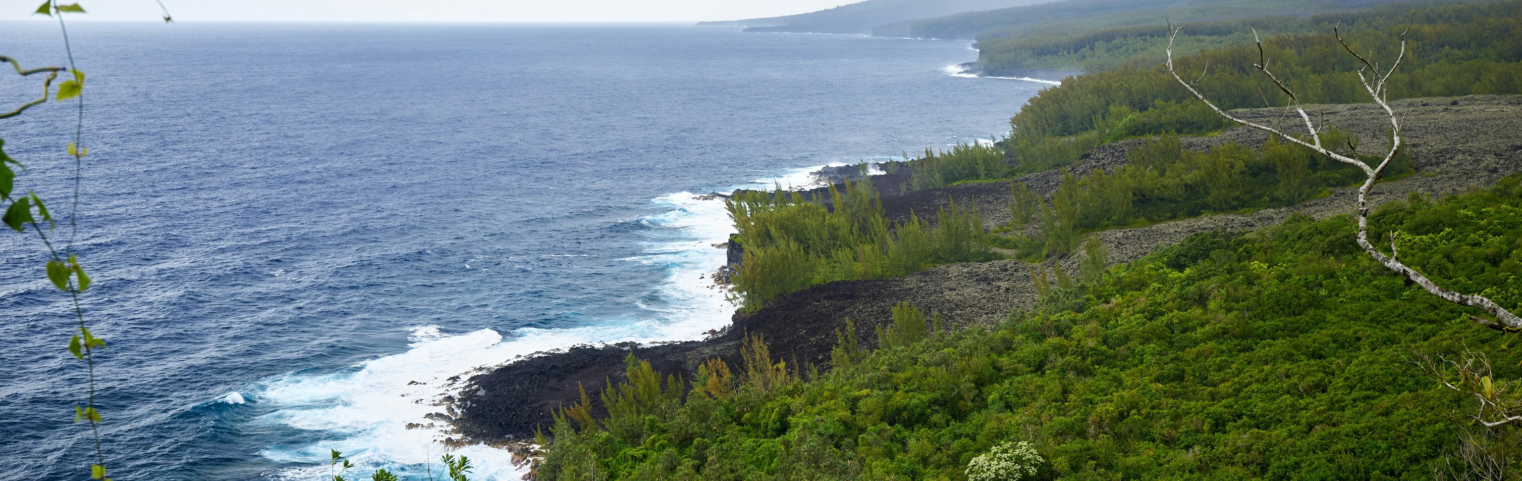 Key visual of Reunion