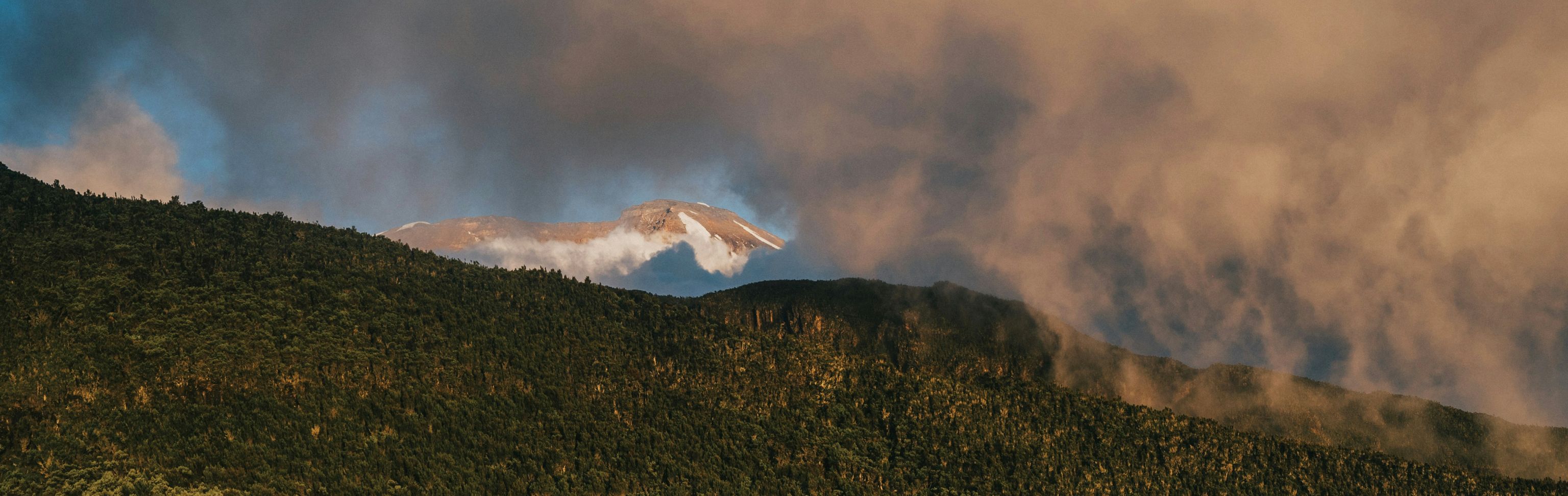 Key visual of Tanzania