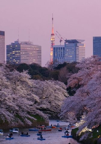 Featured Image: Japan