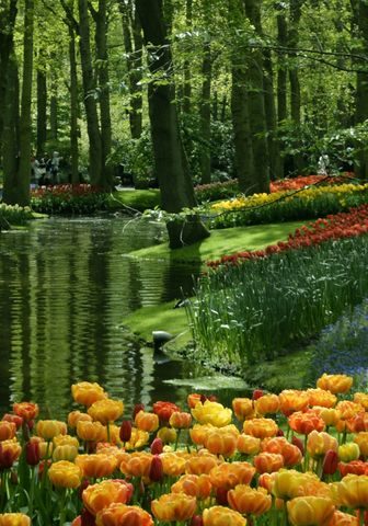 Featured Image: Netherlands