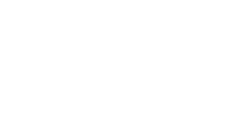 Affordable. Connect everywhere. Ninja's Travel eSIM Solution.
